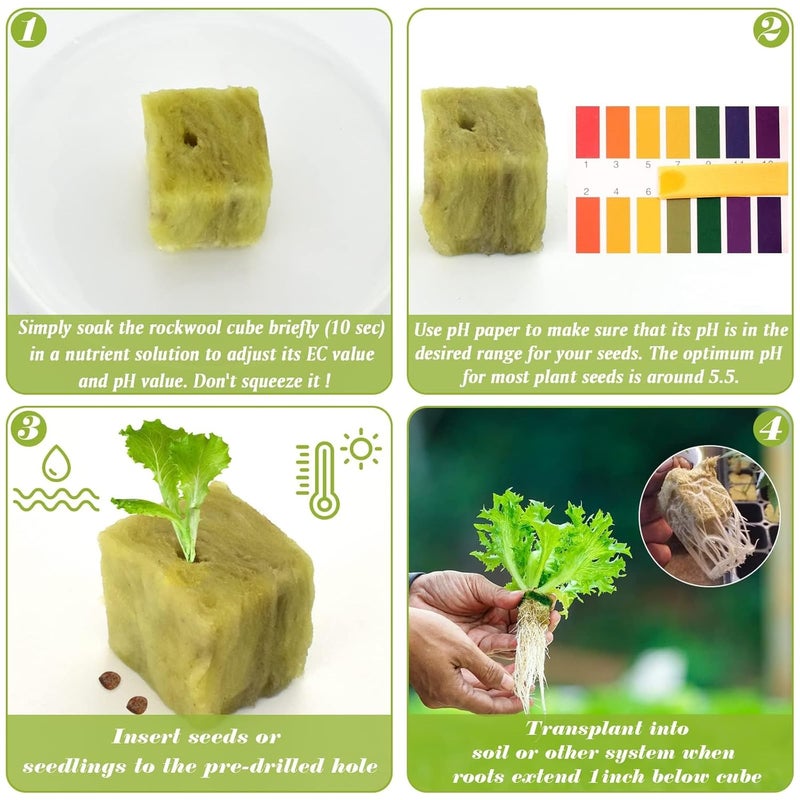 Halatool 1.2 Inch Rockwool Cubes Garden Hydroponic Pods Starter Plugs for Hydroponics Soilless Cultivation Seedling Starting Cuttings Clone & Plants Propagation (2 Sheets, 72 Plugs in Total) - Image 5